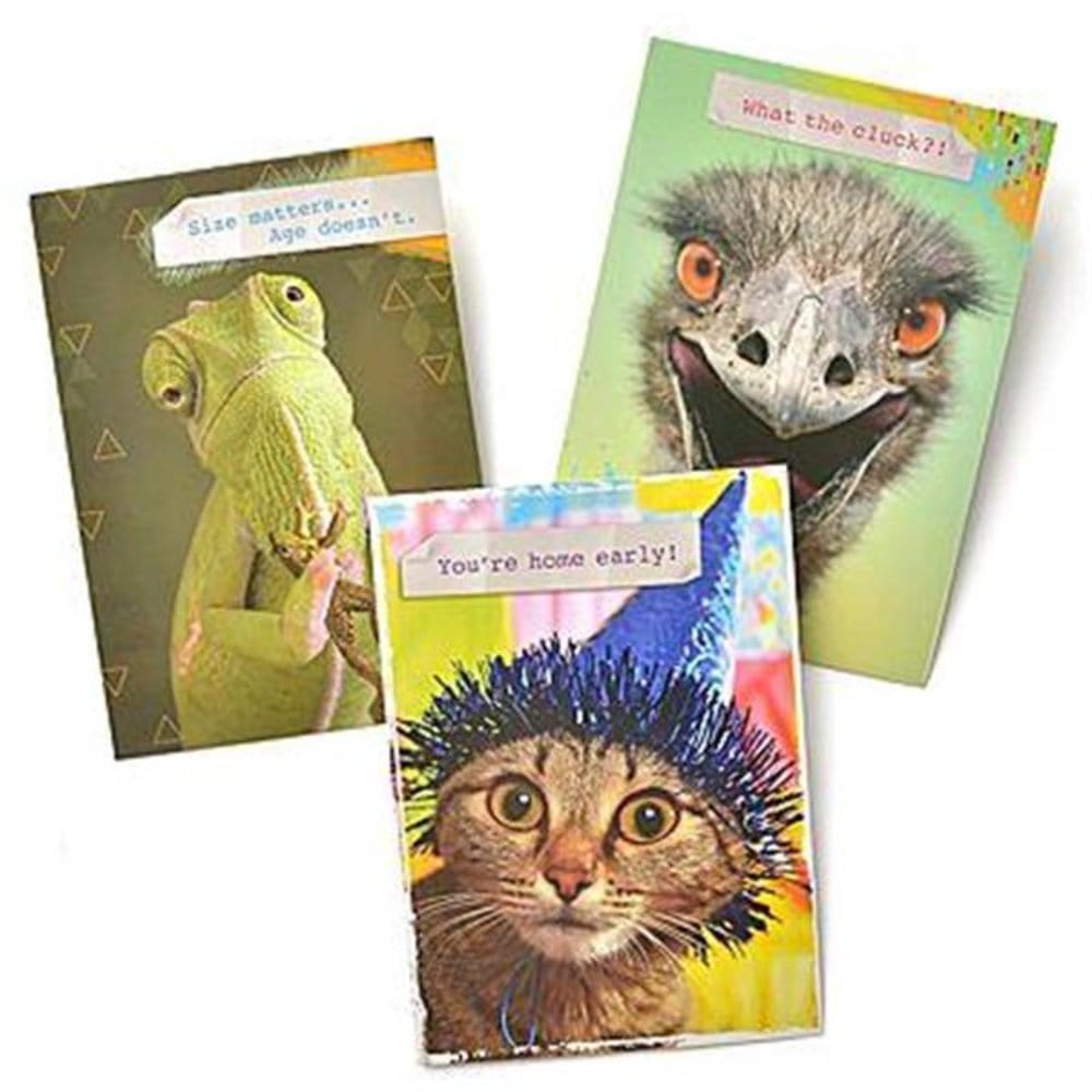 Animal Humor Greeting Cards Gartner Studios Greeting Cards 45217P