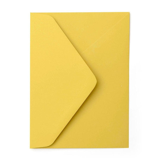 Envelope Cardholder – Align Co