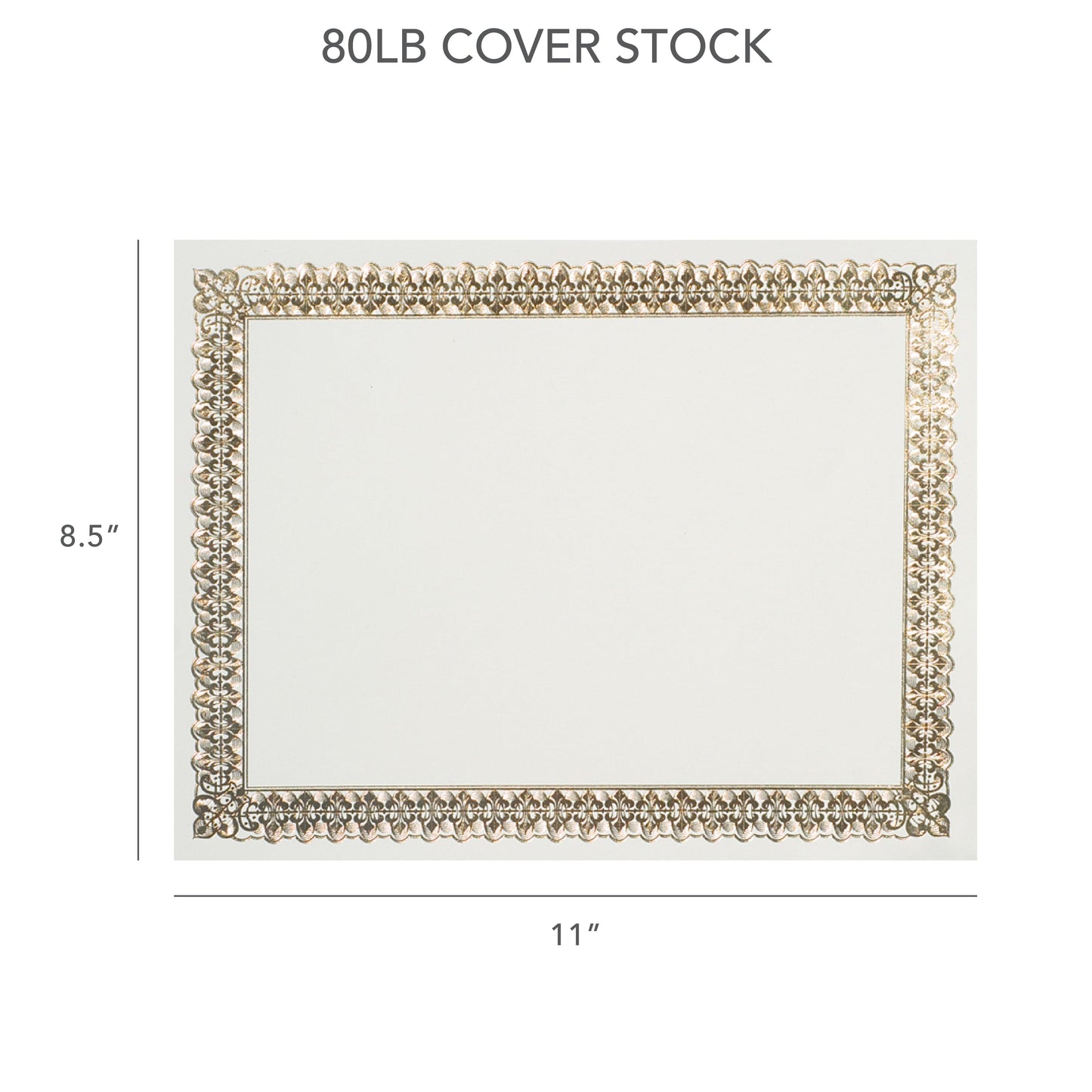 Gold Foil Certificate Paper - 15 Count Gartner Studios Certificate Paper 36004-S