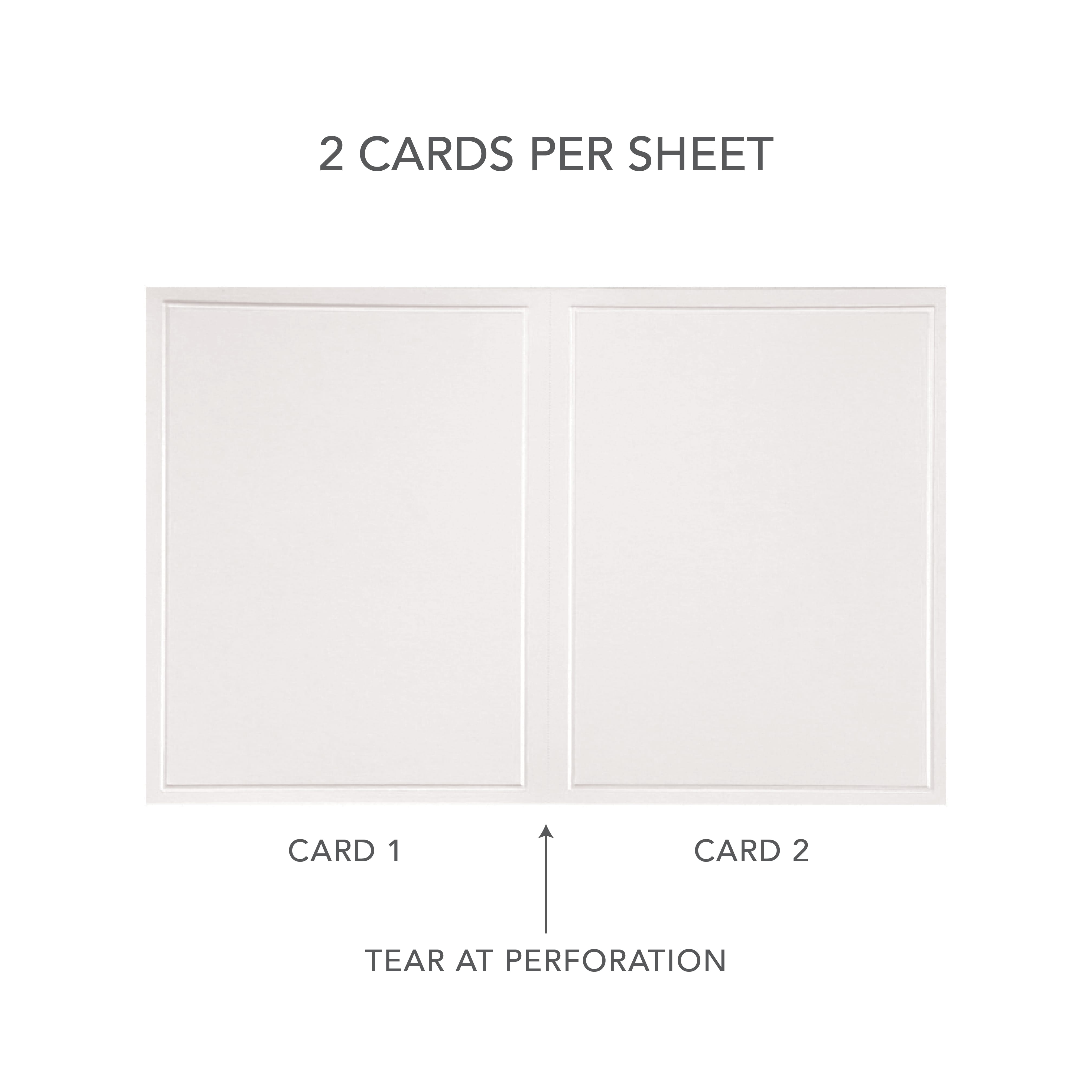 STORESカードリーダー ホワイト White Pearl Border All Purpose Blank Cards | Gartner Studios