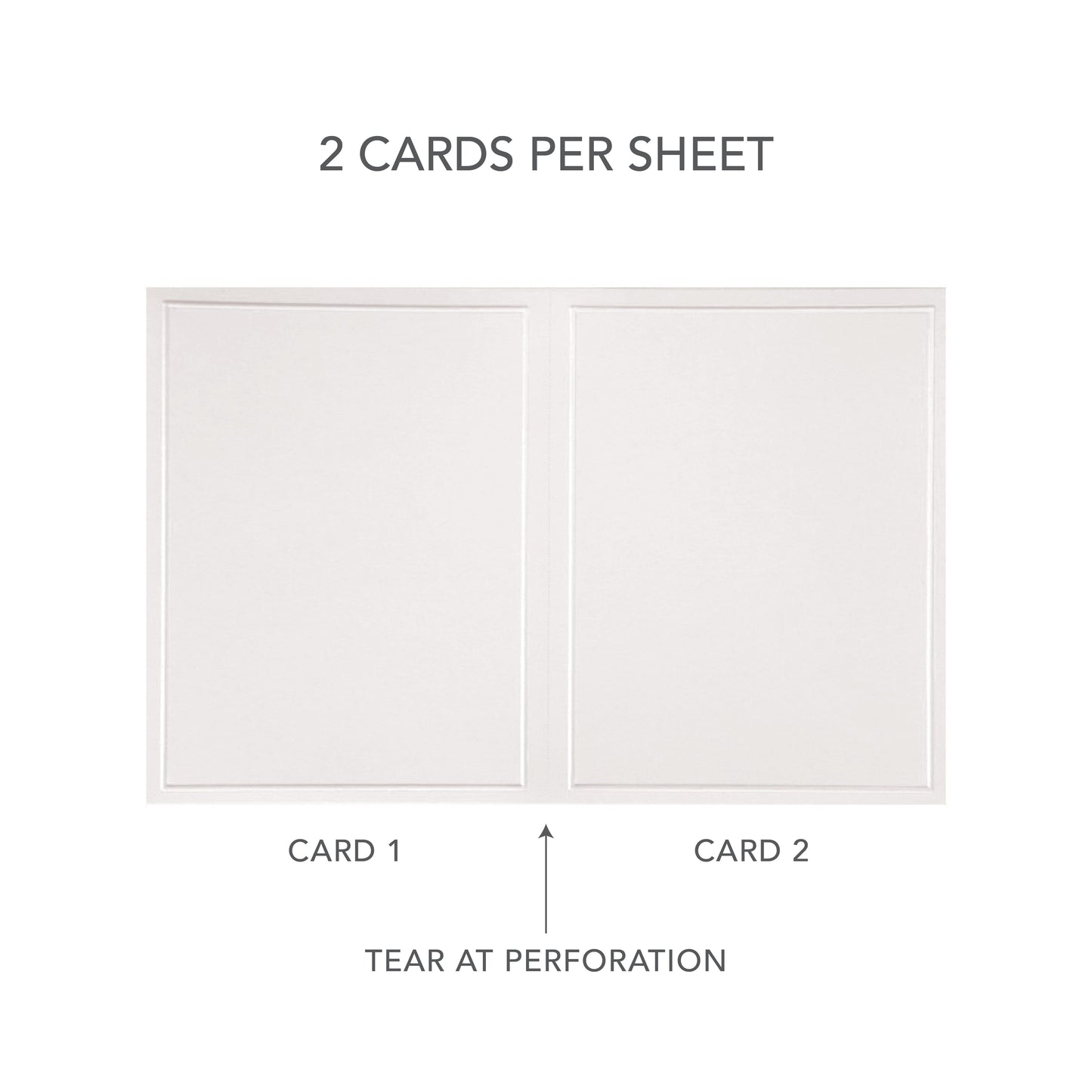 White Pearl Border All Purpose Blank Cards Gartner Studios Cards - All Purpose 60023