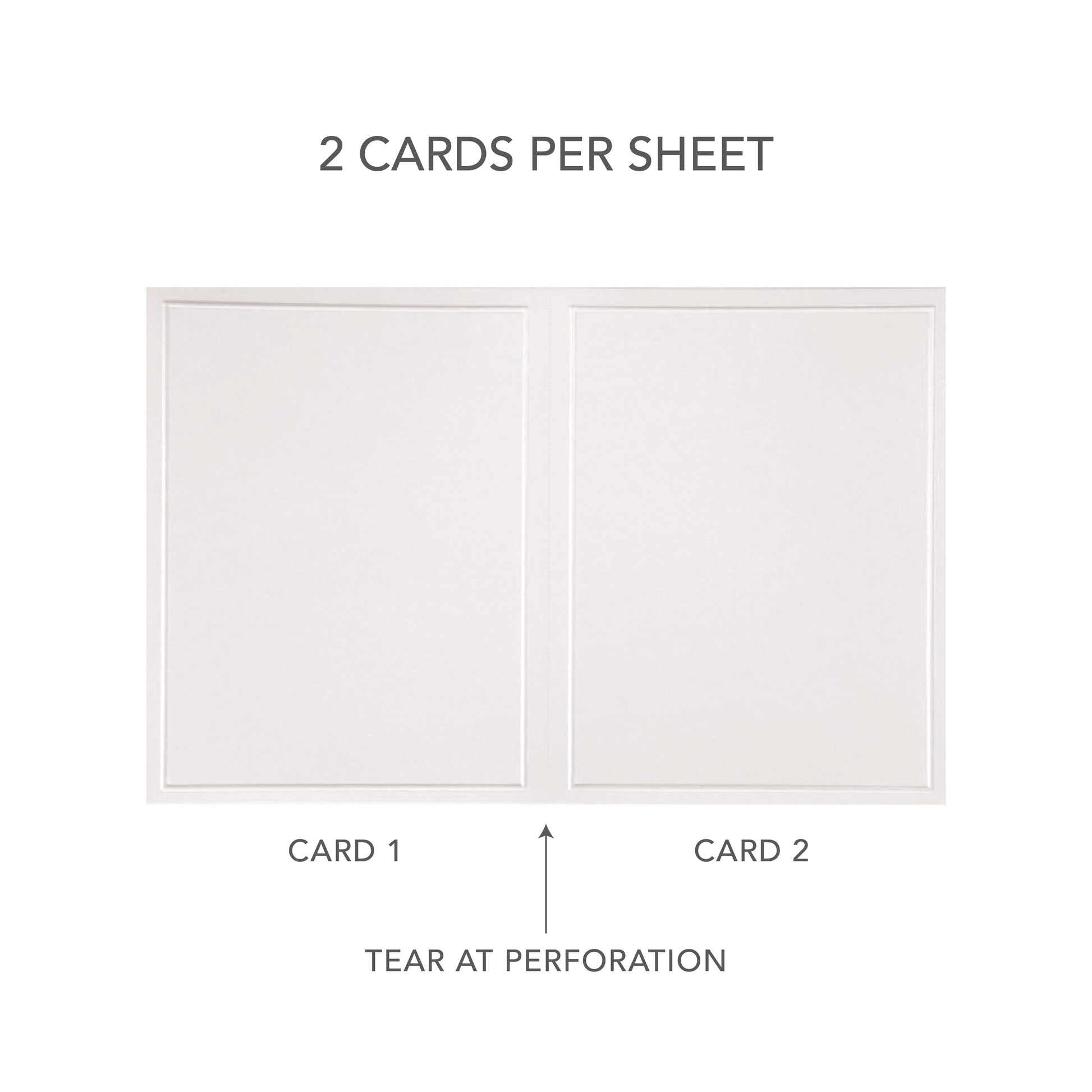 White Pearl Border All Purpose Blank Cards Gartner Studios Cards - All Purpose 60023