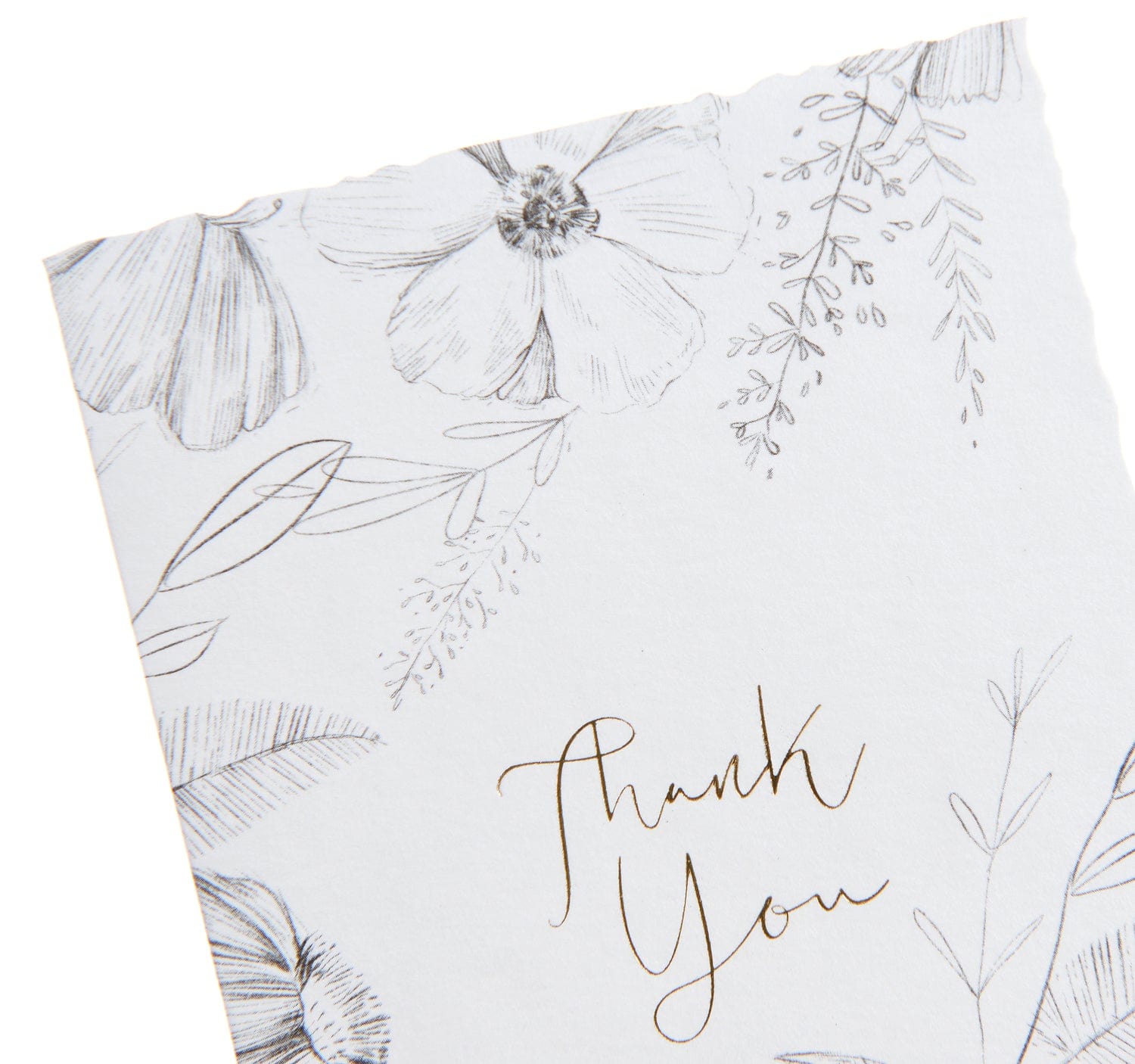 Antique Floral Thank You Cards - 50 Count Gartner Studios Cards - Thank You