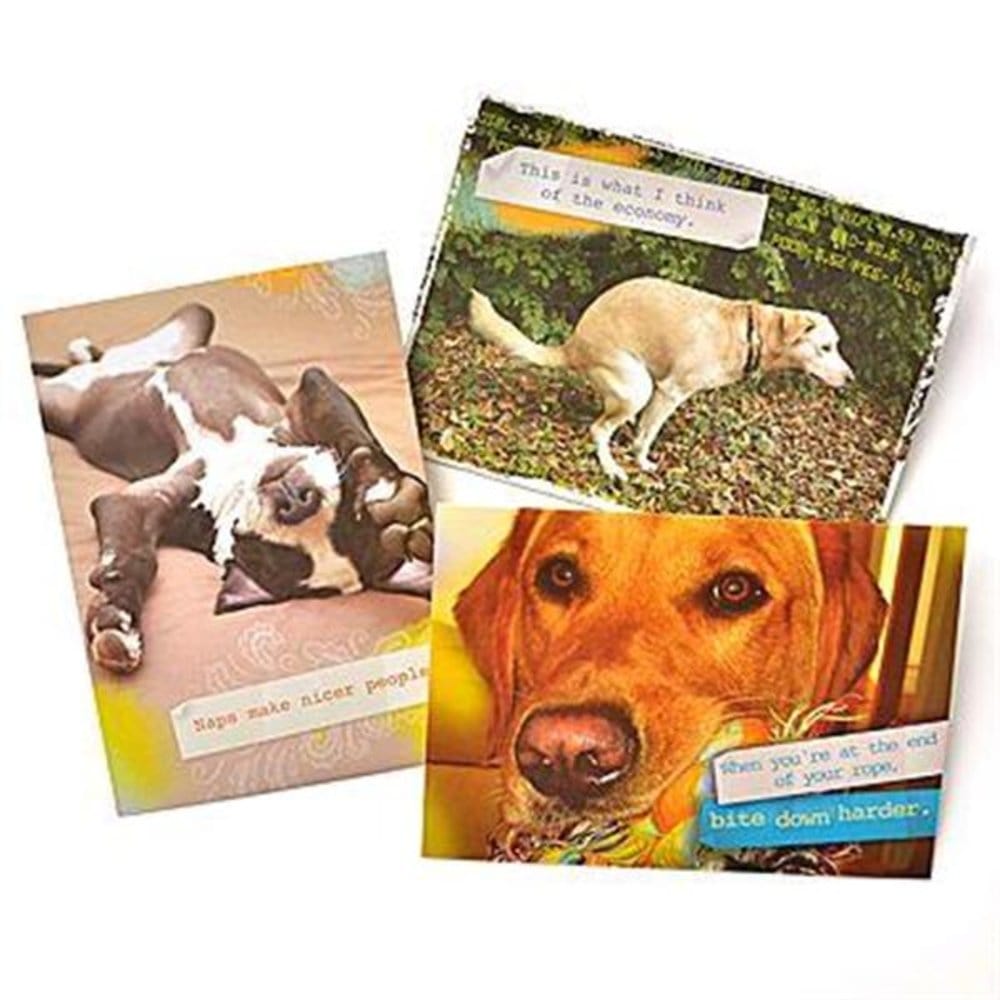 Dog Humor Greeting Cards Gartner Studios Greeting Cards 45224P