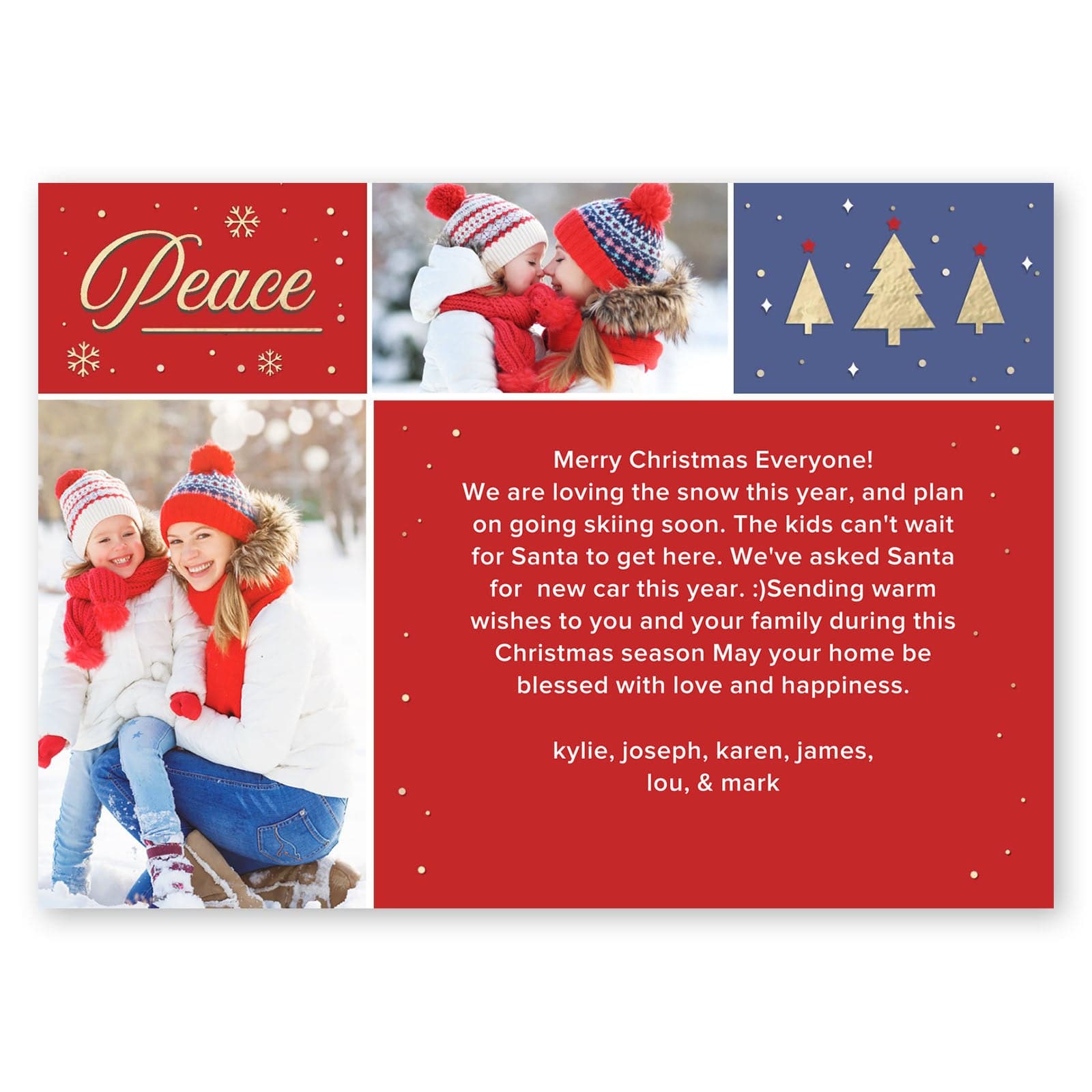 https://www.gartnerstudios.com/cdn/shop/products/family-christmas-holiday-card-36184905515258_2048x.jpg?v=1644409789