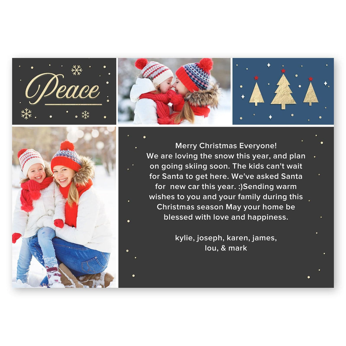 Family Christmas Holiday Card Gartner Studios Christmas Card