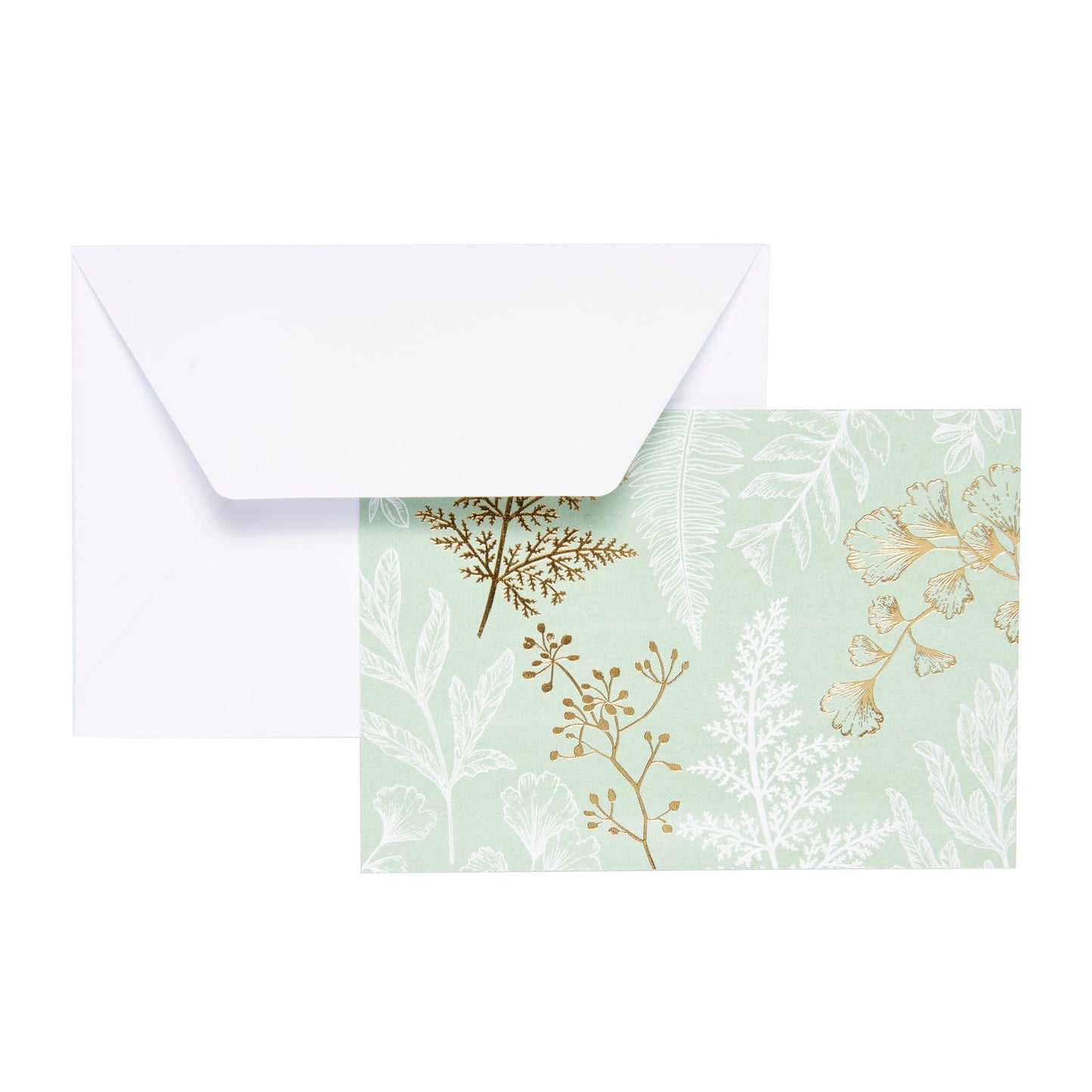 Fern Assorted Thank You Cards - Set of 50 Gartner Studios Cards - Thank You 94144