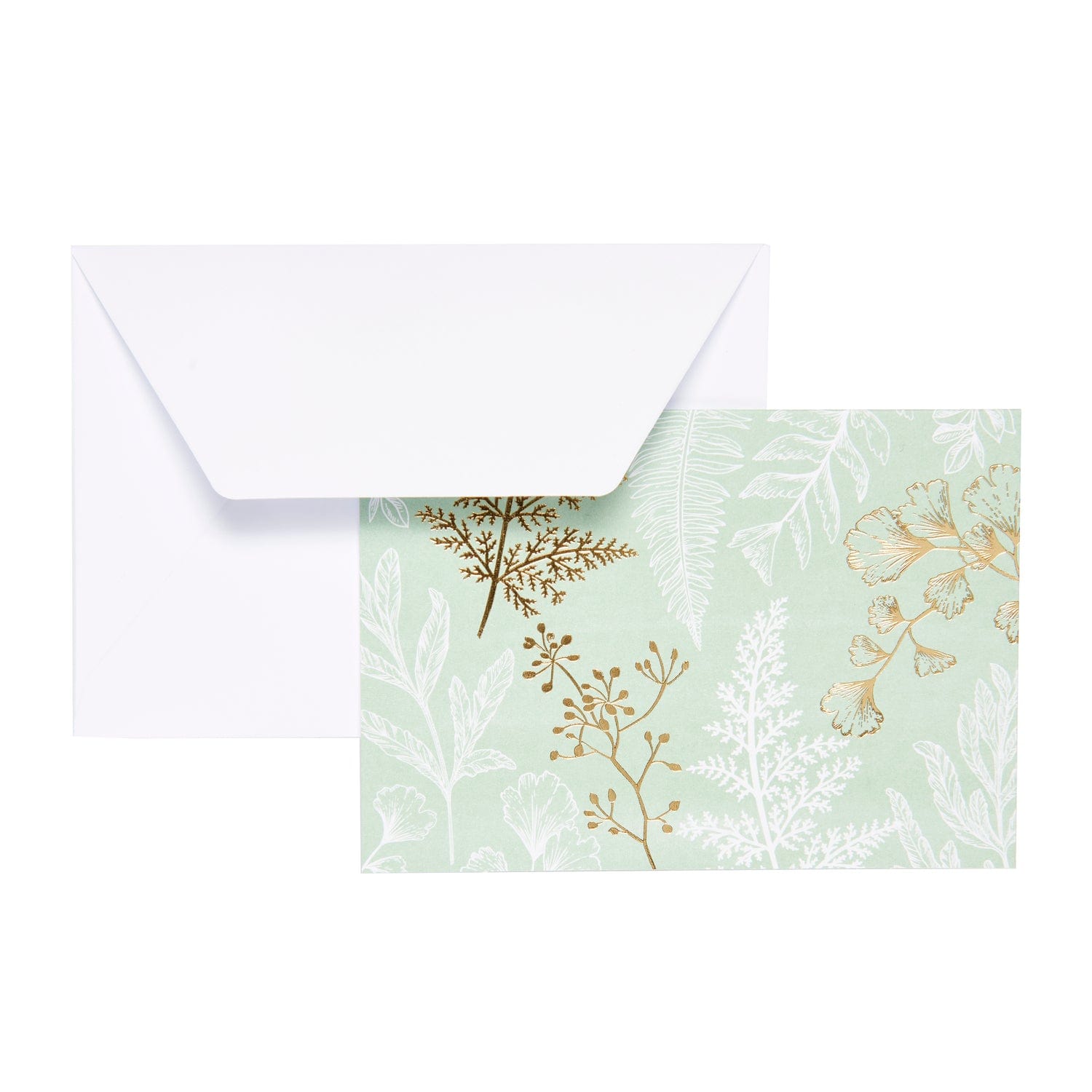 Fern Assorted Thank You Cards - Set of 50 Gartner Studios Cards - Thank You 94144