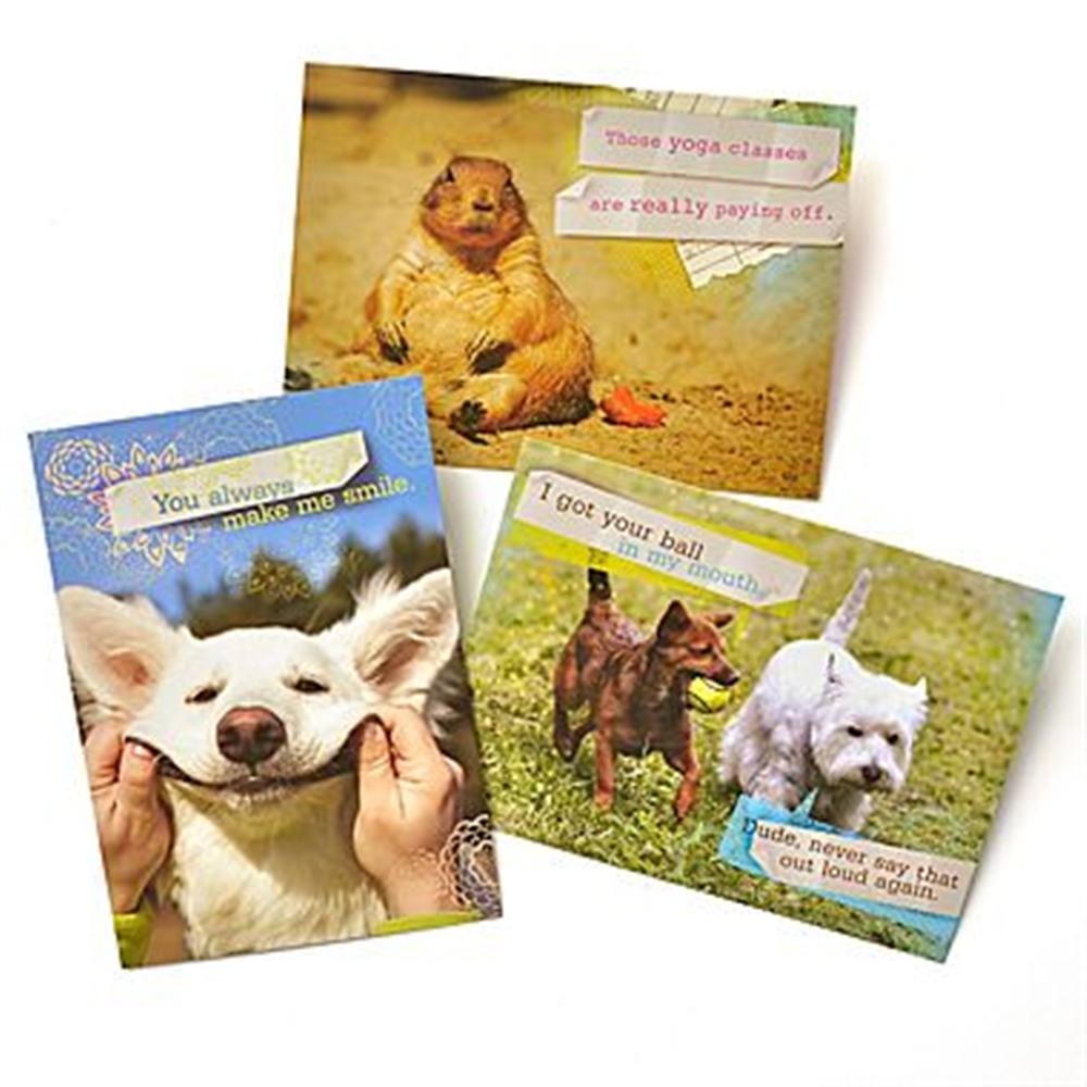 Gartner Greetings Pet Humor Greeting Cards, 3 Pack, Thinking Of You Gartner Studios Greeting Cards 45229P