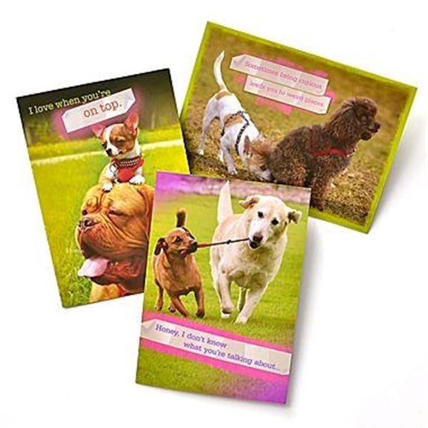 Gartner Greetings Pet Humor Greeting Cards, 3 Pack, Thinking Of You Gartner Studios Greeting Cards 45231P