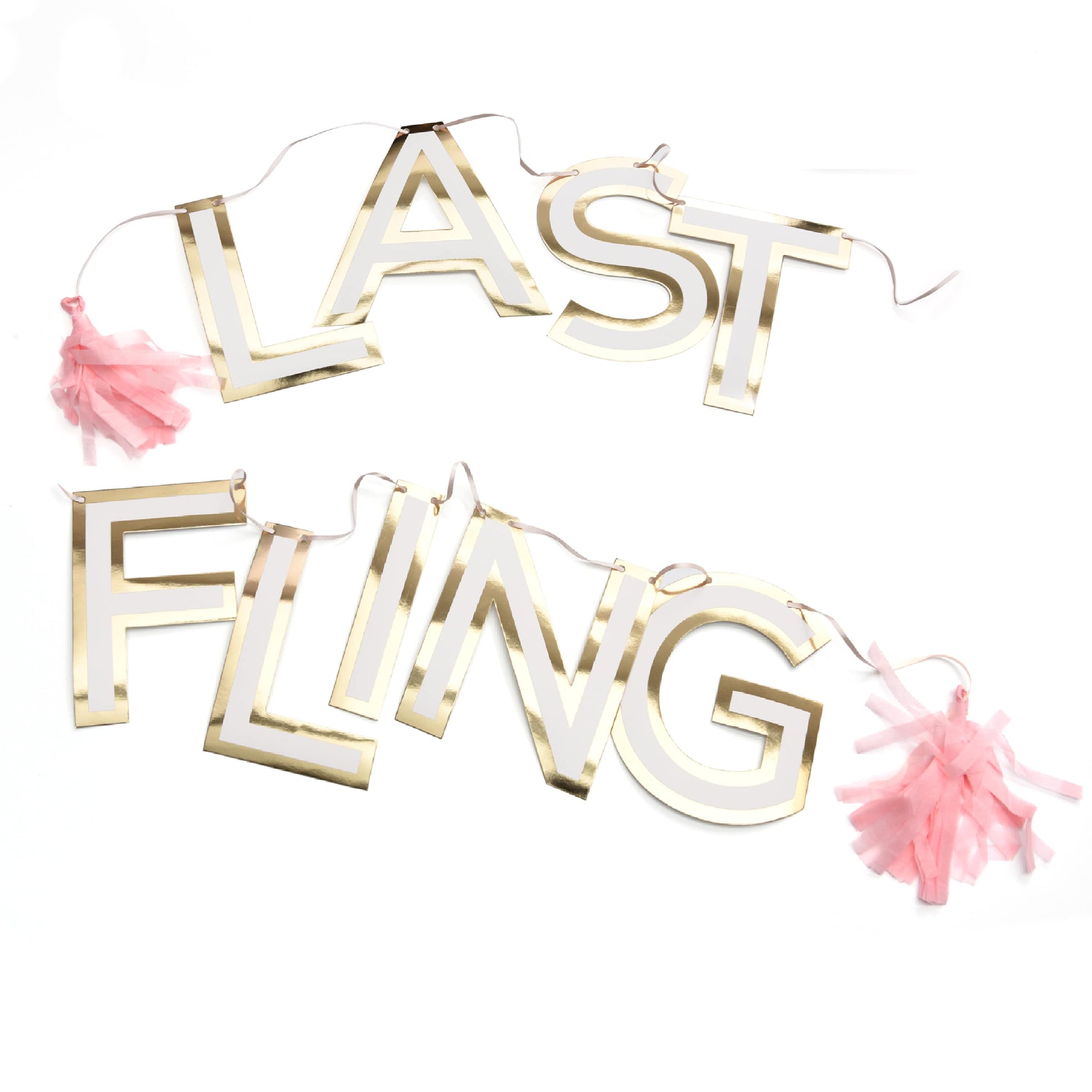 Last Fling Décor Kit - Straws, Picks + Banner Gartner Studios Paper Straws 55695