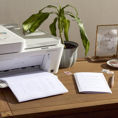 Pearl Border Bifold Print At Home Wedding Program Gartner Studios Program Paper