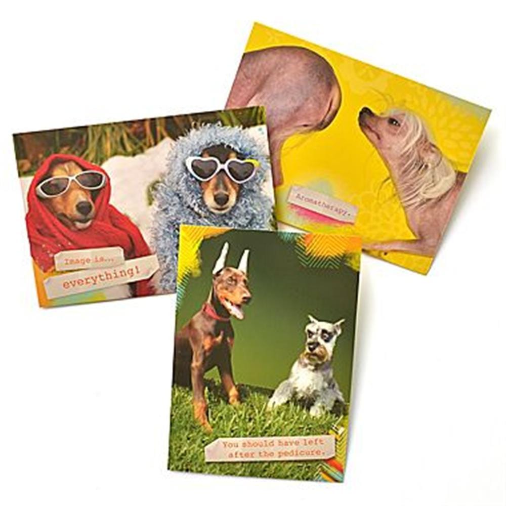 Pet Humor Birthday Greeting Cards Set 2, 3 Pack Gartner Studios Greeting Cards 45218P