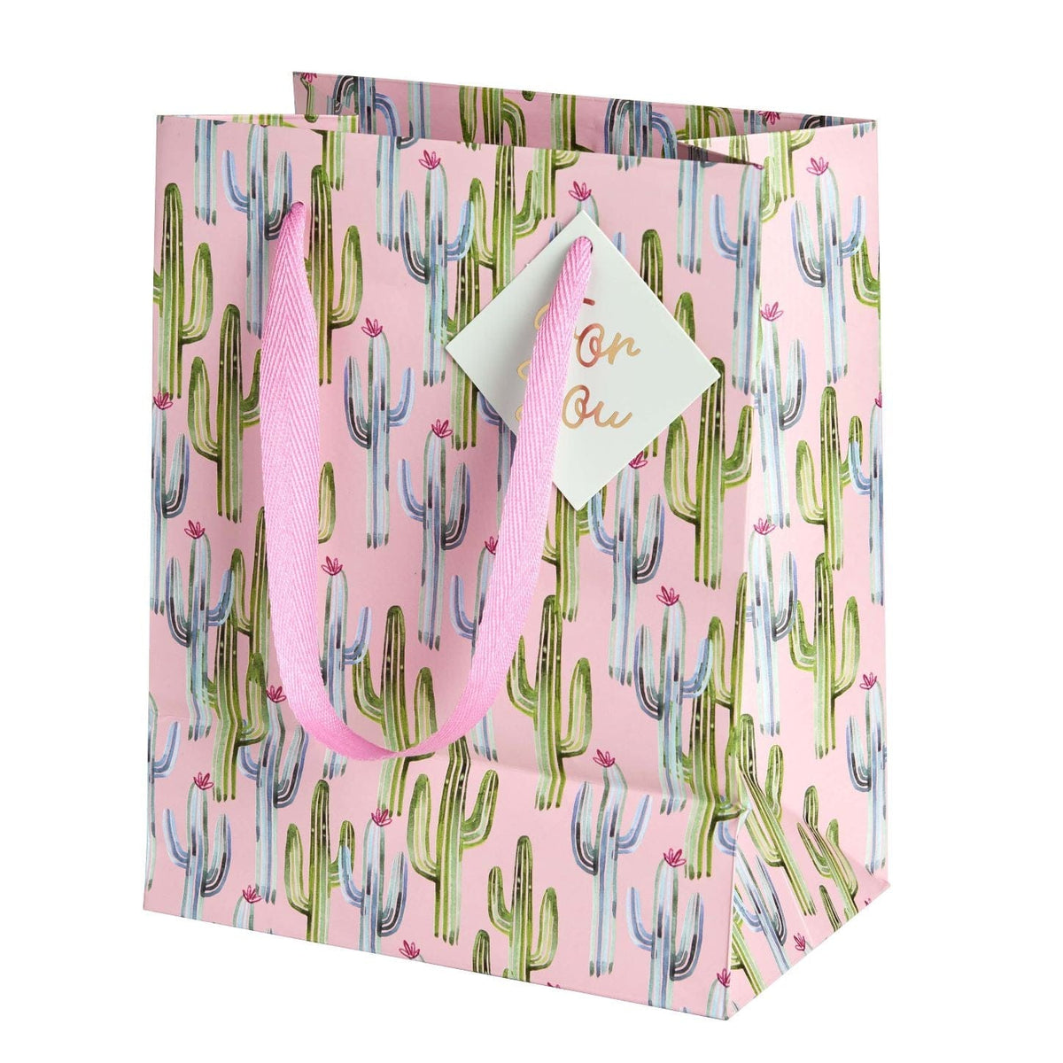 Pink Cactus Medium Gift Bag Gartner Studios Gift Bag 59593