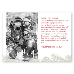 Winter Pinecones Holiday Card Gartner Studios Christmas Card