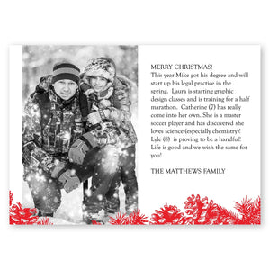 Winter Pinecones Holiday Card Gartner Studios Christmas Card
