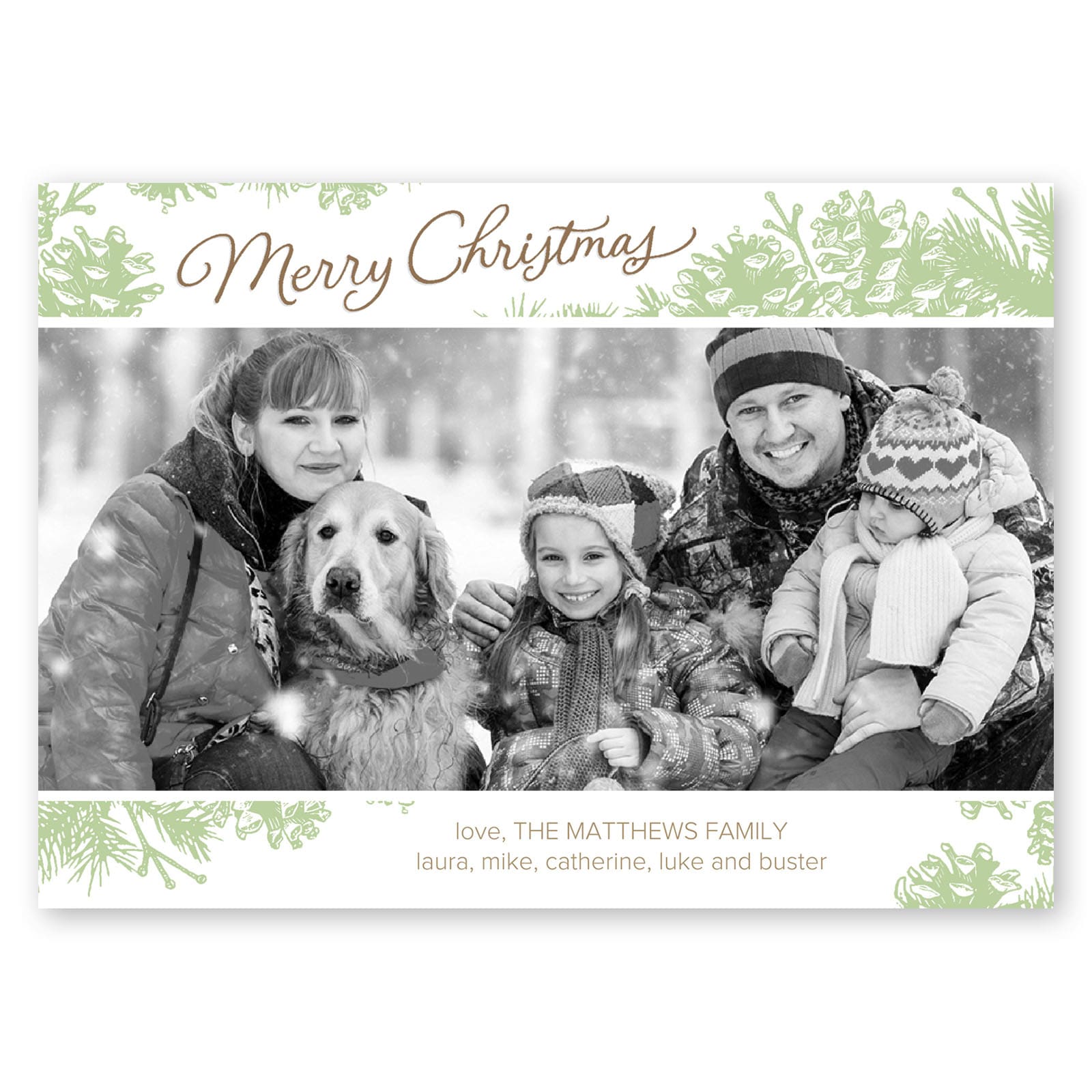 Winter Pinecones Holiday Card Honeydew Gartner Studios Christmas Card 95459