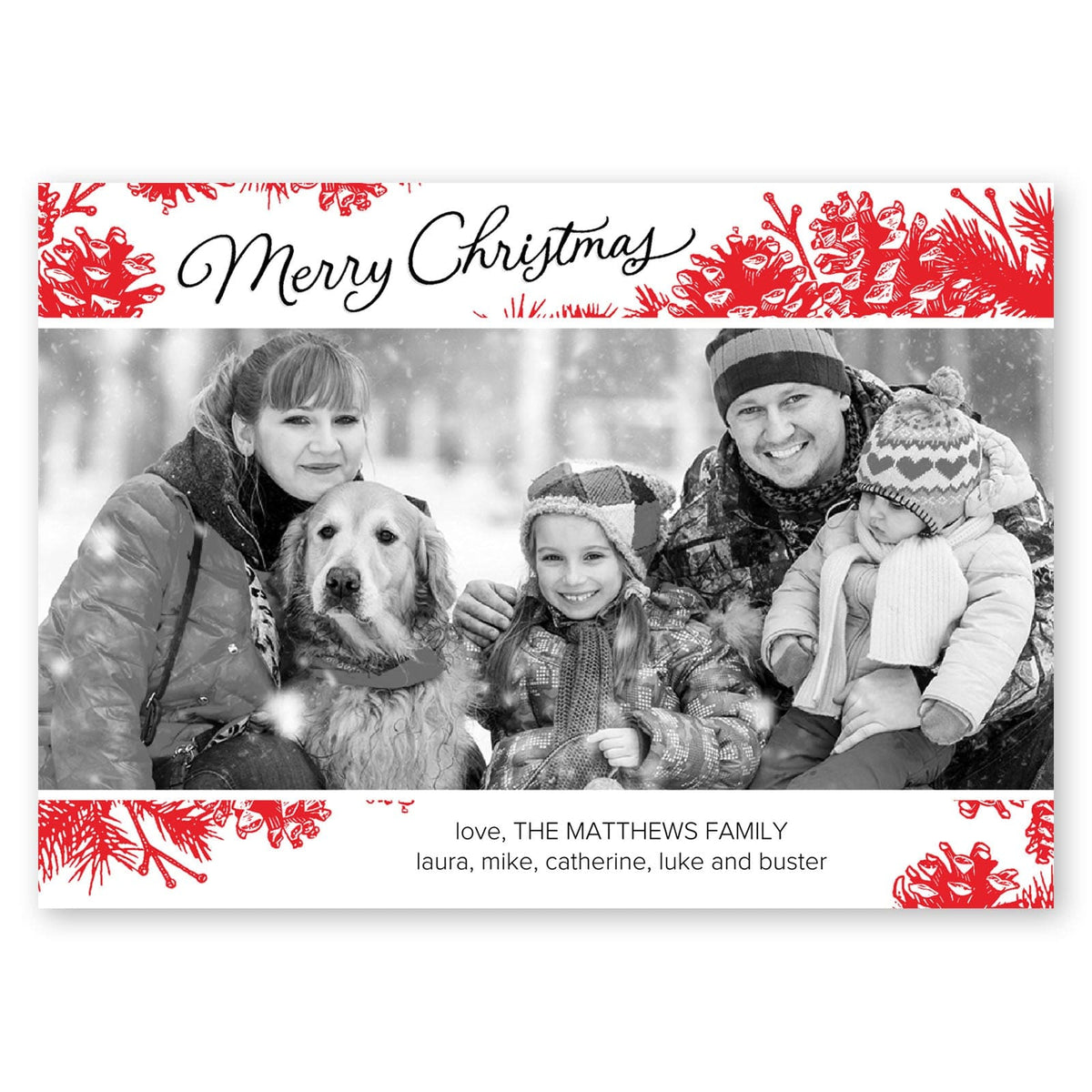 Winter Pinecones Holiday Card Red Gartner Studios Christmas Card 95459