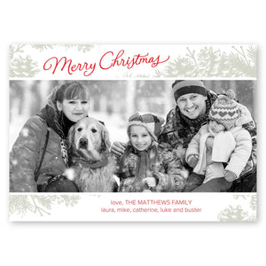 Winter Pinecones Holiday Card Taupe Gartner Studios Christmas Card 95459